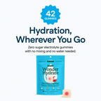 Wonder Hydrate Electrolyte Gummies